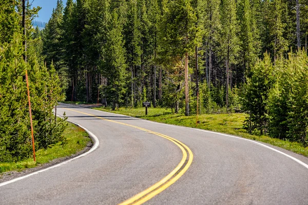 Highway Yellowstone National Park Wyoming Eua — Fotografia de Stock