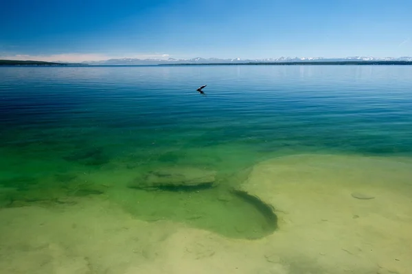 Hot Thermal Spring Yellowstone Lake West Thumb Geyser Basin Area — Stok Foto