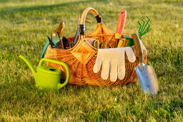 Gardening Tools Wicker Basket Watering Can Grass — Stock Photo, Image