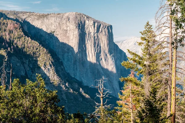 Yosemite National Park Valley Sommarlandskap Kalifornien Usa — Stockfoto