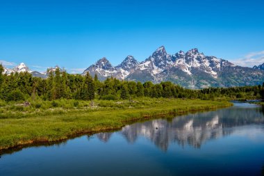 Sabahleyin Snake River 'daki Schwabacher' s Landing 'den Grand Teton Dağları. Grand Teton Ulusal Parkı, Wyoming, ABD.