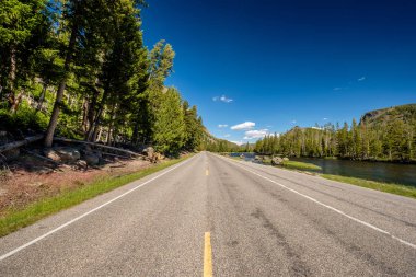 Yellowstone Ulusal Parkı Otoyolu, Wyoming, ABD