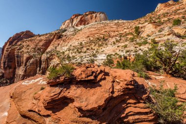 Utah, ABD 'deki Zion Ulusal Parkı' ndaki kaya oluşumlarıyla manzara