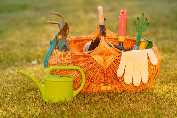 Gardening Tools Wicker Basket Watering Can Grass — Stock Photo, Image