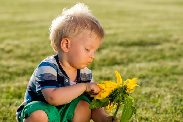 Portrait Baby Boy Looking Sunflower — Stock Photo, Image