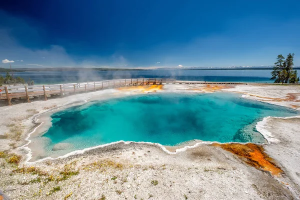 Hot thermal spring Black Pool in Yellowstone National Park, West Thumb Geyser Basin area, Wyoming, USA