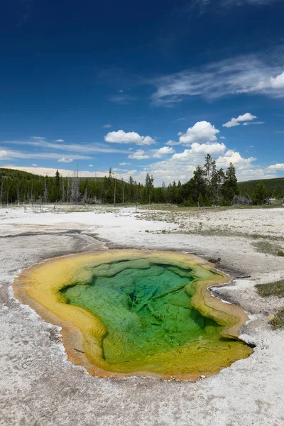 Hot Thermal Spring West Geyser Yellowstone National Park Biscuit Basin — Stok Foto
