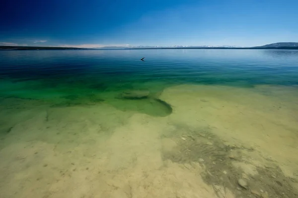 Hot thermal in Yellowstone Lake — Stock Photo, Image