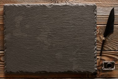 Tüy kalemle InkWell ve kayrak 