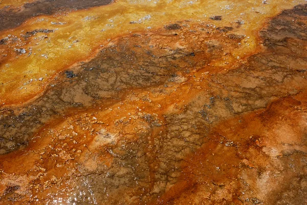Fonte termal quente em Yellowstone Park — Fotografia de Stock