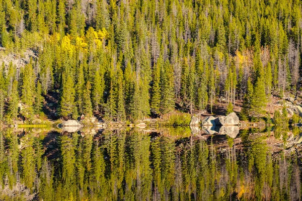 Bear Lake Sonbahar Yansıma Rocky Dağı Milli Parkı Colorado Abd — Stok fotoğraf