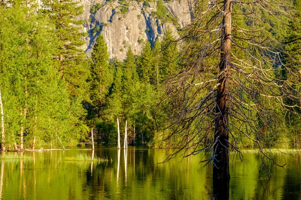 Merced River Paisagem Yosemite Califórnia Eua — Fotografia de Stock