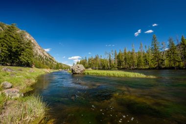 West Yellowstone yakınlarındaki Madison River, Yellowstone Ulusal Parkı, Wyoming, ABD