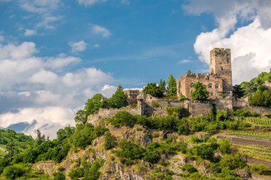Gutenfels (Caub) Kalesi ve üzüm bağları Ren Vadisi (Ren Gorge), Kaub, Almanya yakın. Yerleşik 1220.