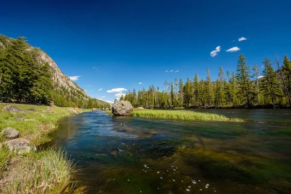 Madison River Perto West Yellowstone Parque Nacional Yellowstone Wyoming Eua — Fotografia de Stock