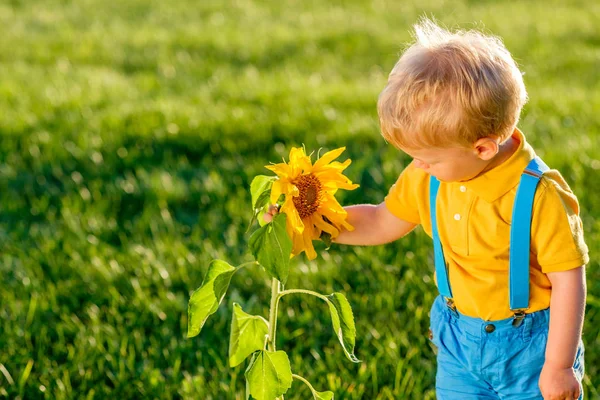 Portrait Baby Boy Looking Sunflower — Stock Photo, Image