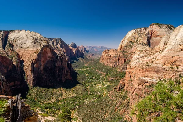 Tájkép Sziklaformációkkal Zion Nemzeti Parkban Utah Usa — Stock Fotó