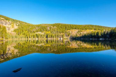 Bear Lake ve yansıma, Rocky Dağı Milli Parkı, Colorado, ABD