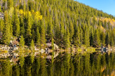 Bear Lake ve yansıma, Rocky Dağı Milli Parkı, Colorado, ABD