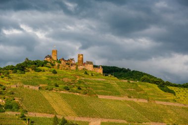 Thurant Kalesi ve üzüm bağları yukarıda Moselle Nehri yakınında Alken, Almanya