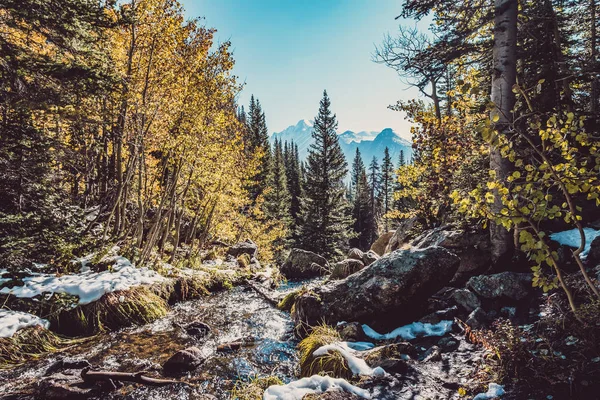 Ilk Kar Sonbahar Kavak Ağaçları Rocky Dağı Milli Parkı Colorado — Stok fotoğraf