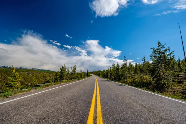 Highway Yellowstone National Park Wyoming Eua — Fotografia de Stock