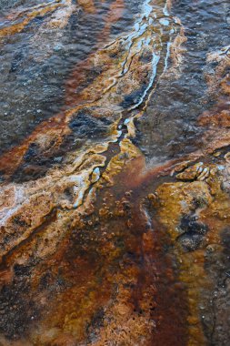 Sıcak termal bahar Yellowstone Milli Parkı, Wyoming, ABD