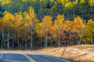 Rocky Dağı Ulusal Parkı 'nda sonbahar güneşli bir günde otoyol. Colorado, ABD. 
