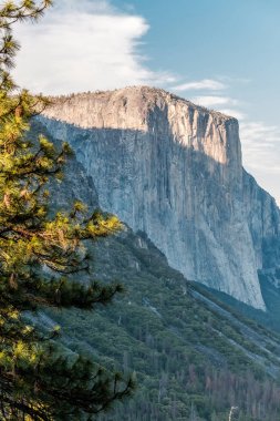 El Capitan kaya oluşumu yakın çekim Yosemite Ulusal Parkı'nda. Kaliforniya, ABD.