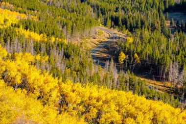 Rocky Dağı Ulusal Parkı 'nda sonbahar güneşli bir günde otoyol. Colorado, ABD. 