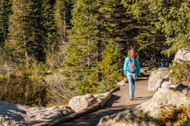 Kadın turist iz Bear Lake yakınındaki sonbahar Rocky Mountain milli parkta yürürken. Colorado, ABD. 