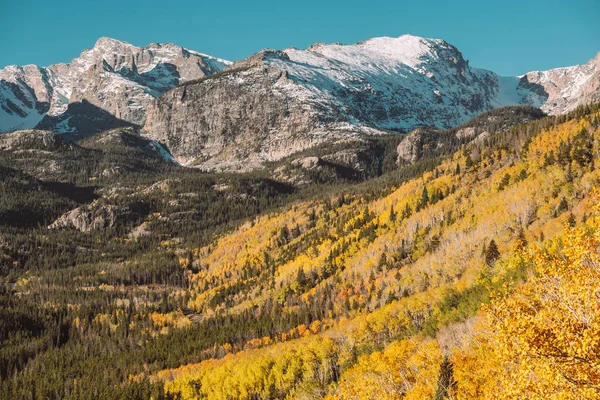 Aspen Grove Automne Parc National Des Rocheuses Colorado États Unis — Photo