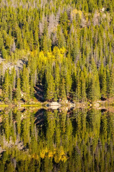 Bear Lake Sonbahar Yansıma Rocky Dağı Milli Parkı Colorado Abd — Stok fotoğraf