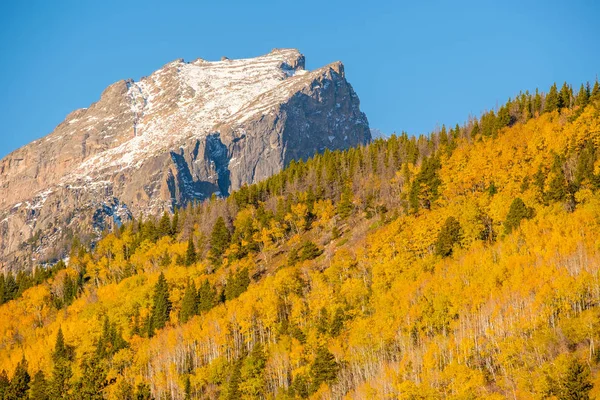 Aspen Grove Outono Parque Nacional Rocky Mountain Colorado Eua — Fotografia de Stock