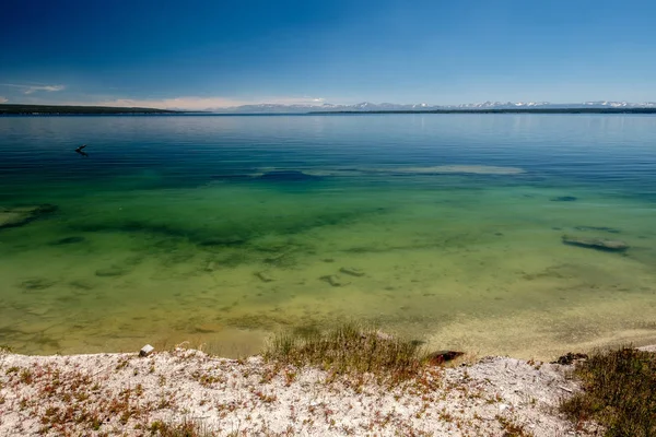 Hot Thermal Spring Yellowstone Lake West Thumb Geyser Basin Area — Stok Foto