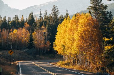 Rocky Dağı Ulusal Parkı 'nda sonbahar güneşli bir günde otoyol. Colorado, ABD. 