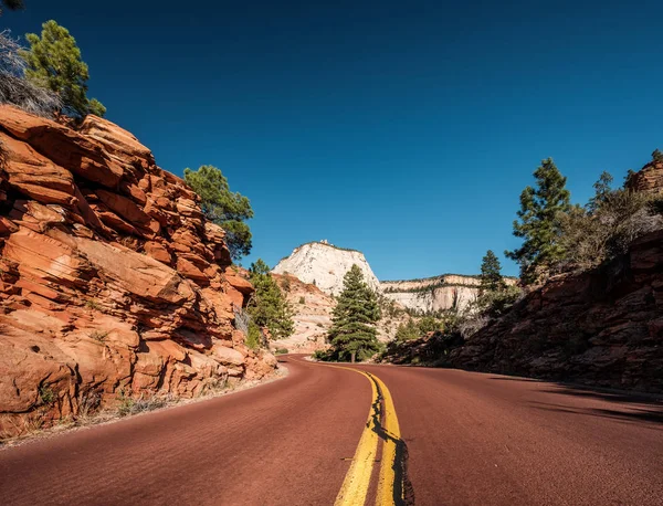 Tomma Natursköna Motorvägen Zion National Park Utah Usa — Stockfoto