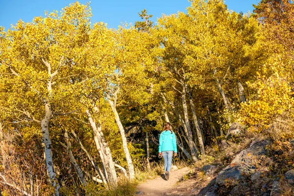 Turista Mujer Caminando Por Sendero Bosque Álamo Otoño Parque Nacional — Foto de Stock