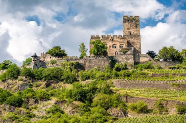 Gutenfels Kalesi ve üzüm bağları Ren Vadisi, Kaub, Almanya yakın. Yerleşik 1220.