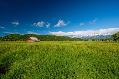 Alçak bulutlar ile eski mormon ahır Grand Teton Dağları'nda. Grand Teton Milli Parkı, Wyoming, ABD.