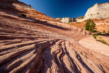 Kaya oluşumları, gündüz, Zion National Park, Utah, Amerika, yatay, doğal görünümünü