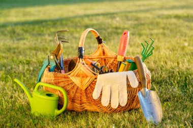 Bahçecilik aletleri hasır sepet ve sulama olabilir çimenlerin üzerinde
