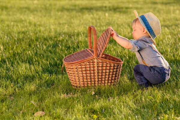 蹒跚学步的孩子在户外的画像 一岁男婴戴草帽看着野餐篮子的乡村景色 — 图库照片
