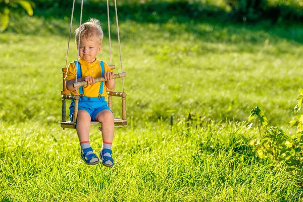 Porträt Eines Kleinkindes Das Freien Schwingt Ländliche Szene Mit Einem — Stockfoto
