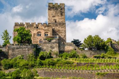 Gutenfels (Caub) Kalesi ve üzüm bağları Ren Vadisi (Ren Gorge), Kaub, Almanya yakın. Yerleşik 1220.
