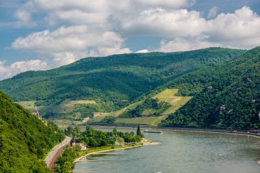Üzüm bağları, Almanya'da Ren Vadisi (Rhine Gorge)