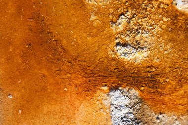 Sıcak termal bahar Yellowstone Milli Parkı, Wyoming, ABD