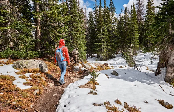 Turista Com Mochila Caminhando Trilha Nevada Parque Nacional Montanha Rochosa — Fotografia de Stock