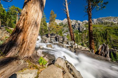 Kartal Falls adlı Lake Tahoe California, ABD
