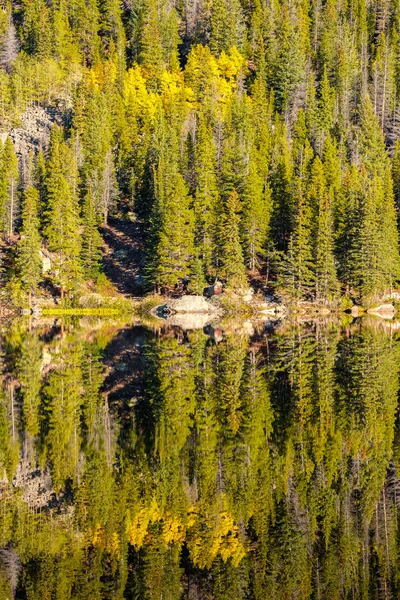 Reflexão Bear Lake Parque Nacional Montanha Rochosa Colorado Eua — Fotografia de Stock